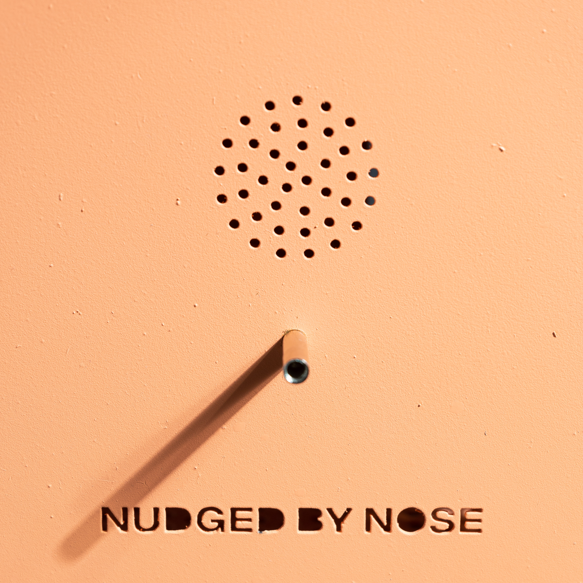 NudgedByNose-147